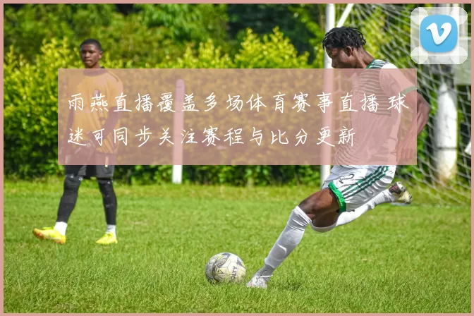 雨燕直播覆盖多场体育赛事直播 球迷可同步关注赛程与比分更新
