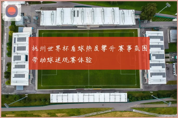 杭州世界杯看球热度攀升 赛事氛围带动球迷观赛体验