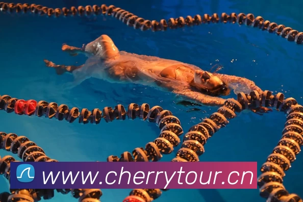 足球世界杯官网中文版APP 高清赛事图